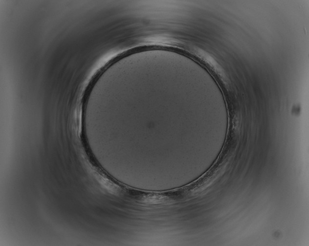 X0000101401323200807280952