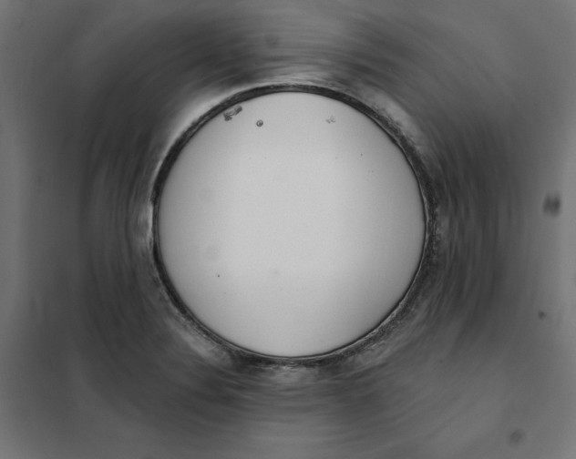 X0000101401324200807280952