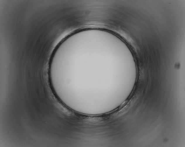 X0000101401325200807280952