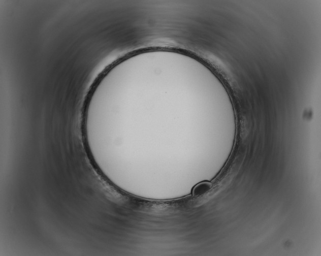 X0000101401326200807280952