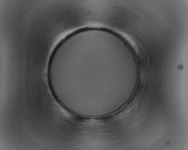 X0000101401327200807280952