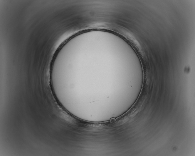 X0000101401328200807280952