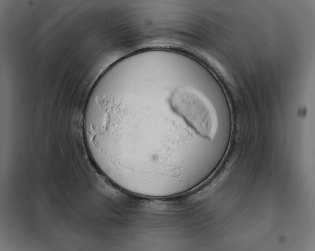 X0000101401329200807280953