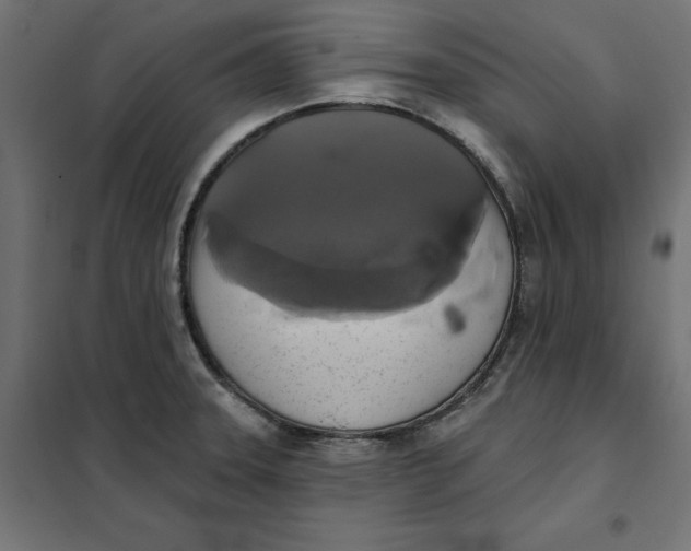 X0000101401331200807280953