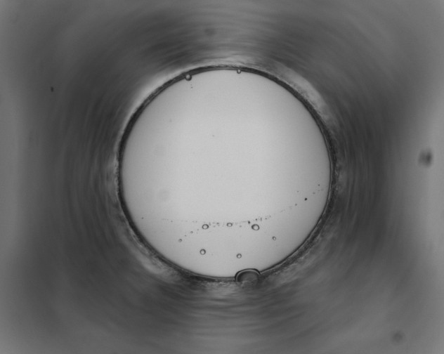 X0000101401332200807280953