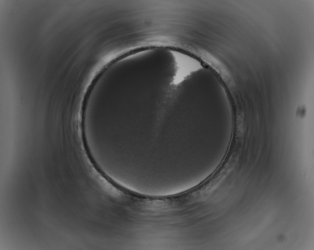 X0000101401334200807280953