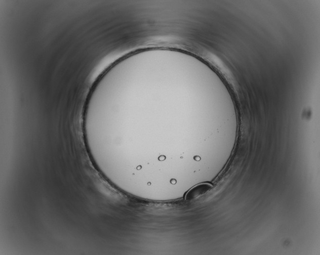 X0000101401336200807280953