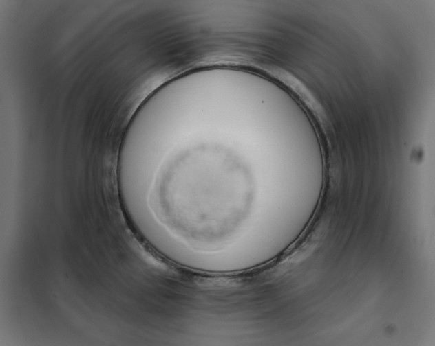 X0000101401337200807280953