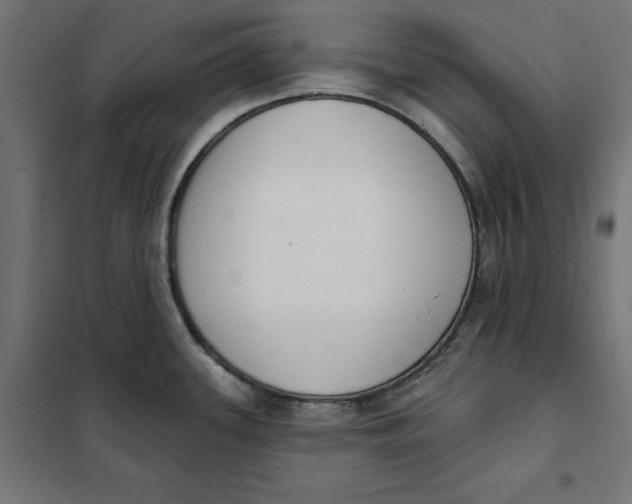 X0000101401339200807280953