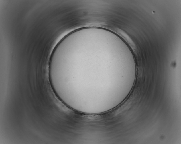 X0000101401340200807280953