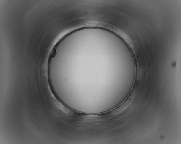 X0000101401342200807280953