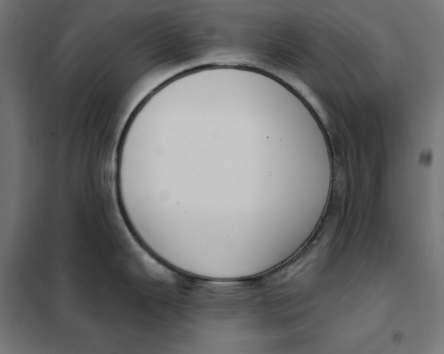 X0000101401343200807280953