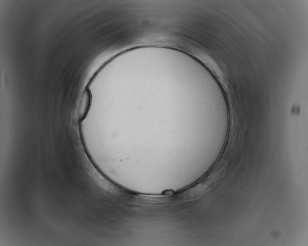 X0000101401344200807280953