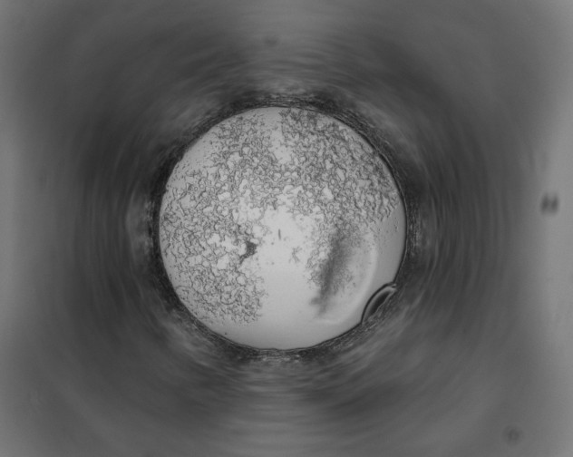 X0000101401346200807280952