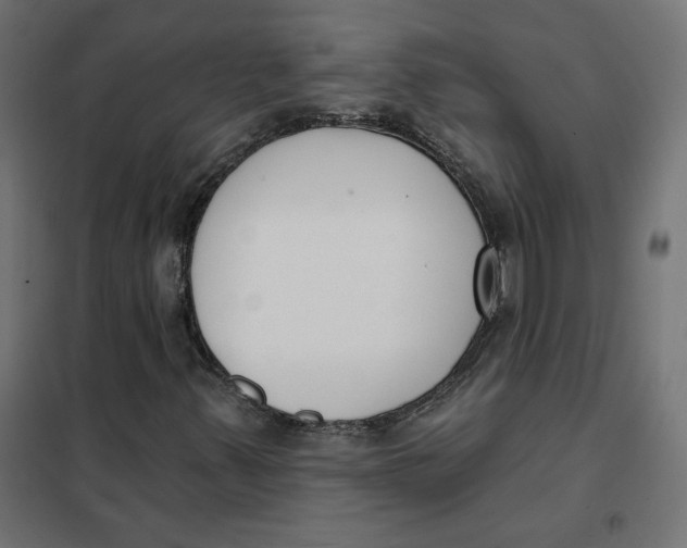 X0000101401347200807280952