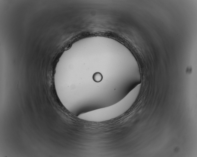 X0000101401348200807280952