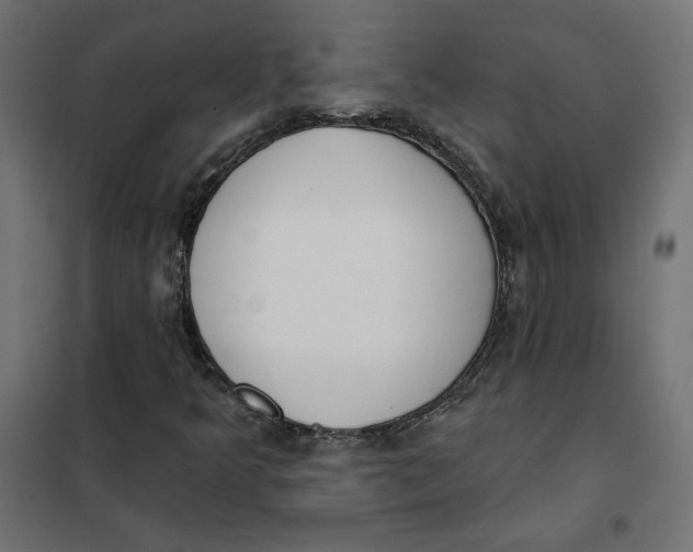 X0000101401349200807280952