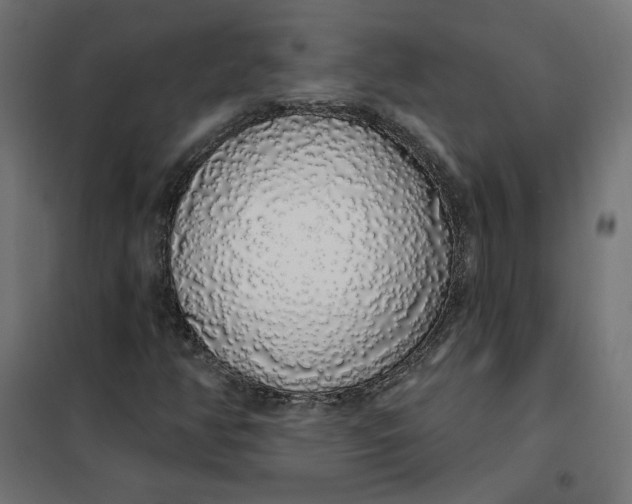 X0000101401350200807280952