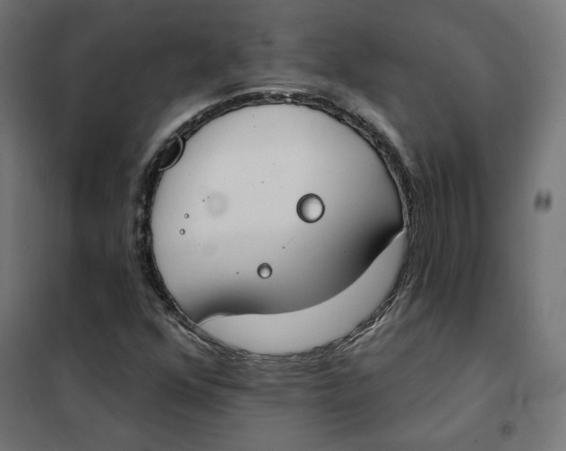 X0000101401352200807280952