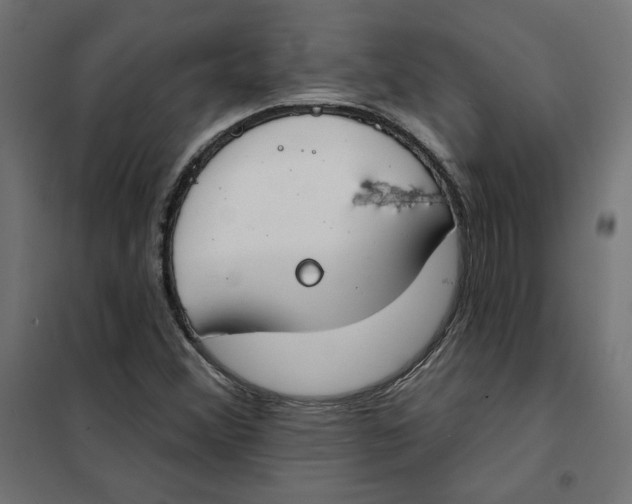 X0000101401356200807280952