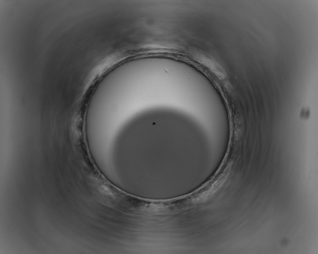 X0000101401357200807280952