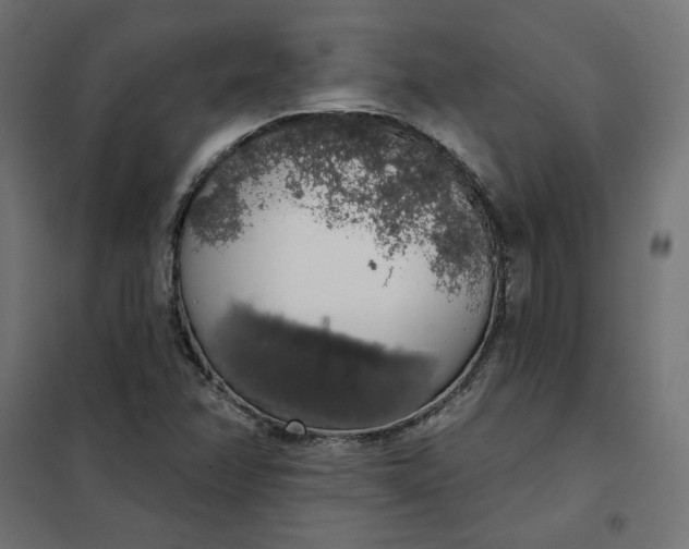 X0000101401358200807280952