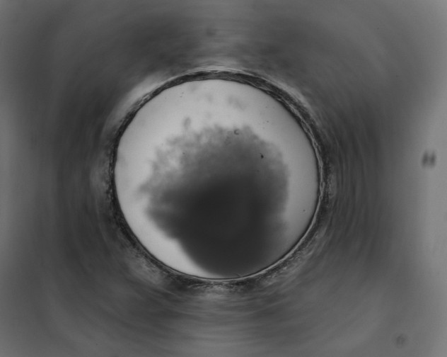 X0000101401359200807280952