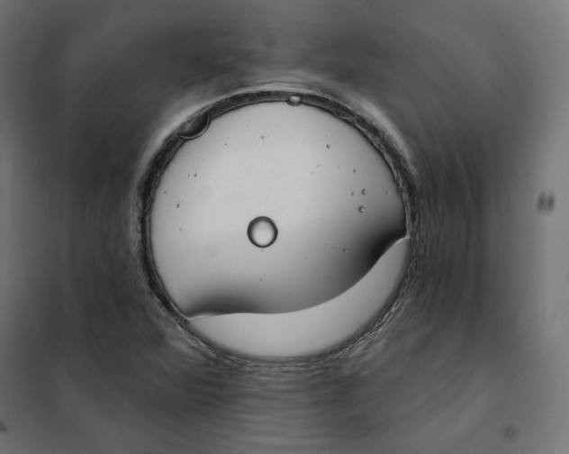 X0000101401360200807280952