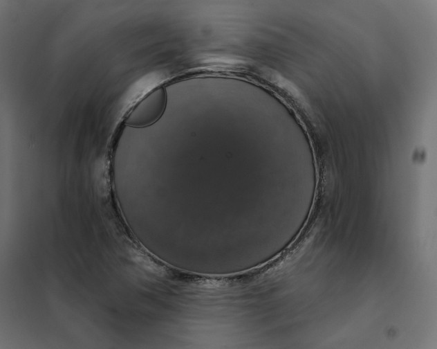 X0000101401362200807280951