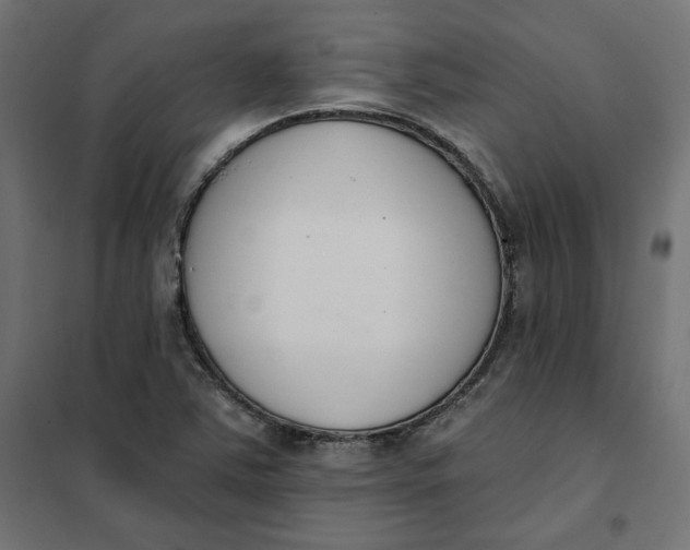 X0000101401363200807280951