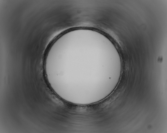 X0000101401364200807280951