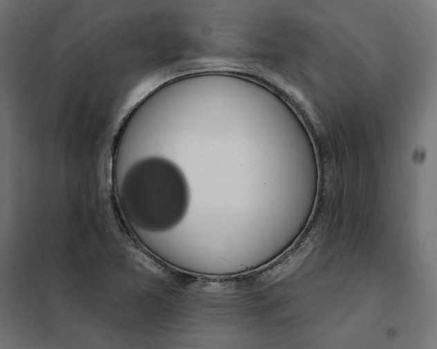 X0000101401365200807280951