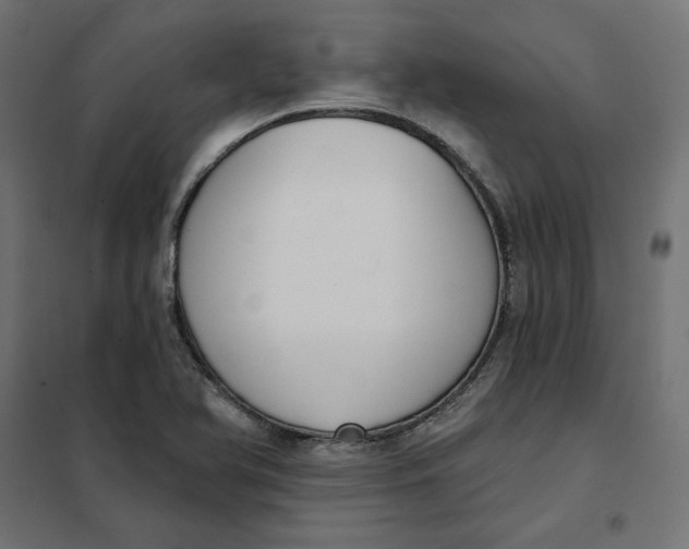 X0000101401366200807280951