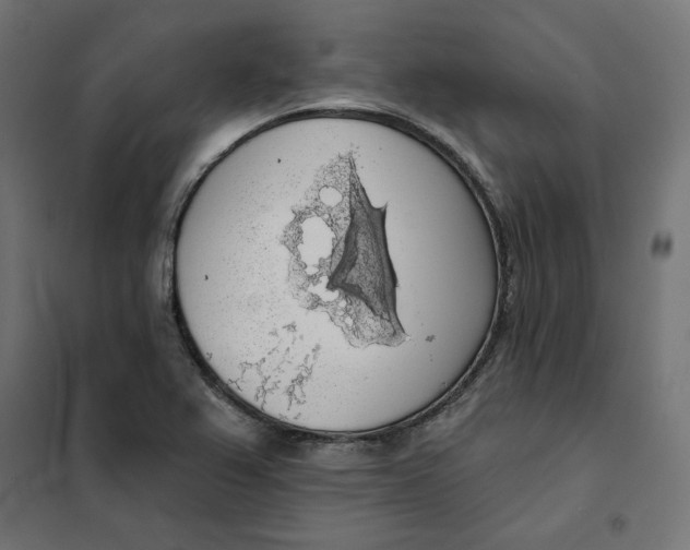 X0000101401367200807280951