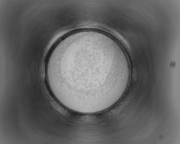 X0000101401368200807280951