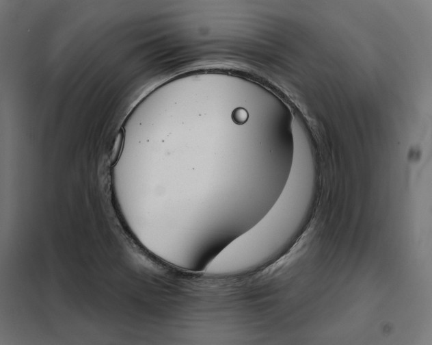 X0000101401369200807280951