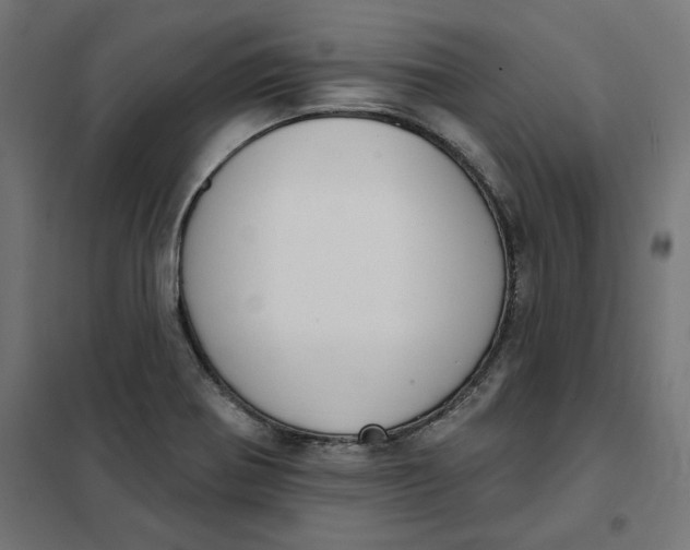 X0000101401370200807280951