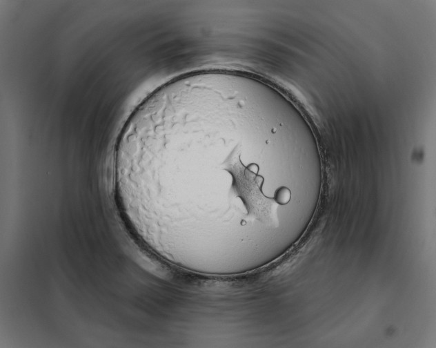 X0000101401371200807280951