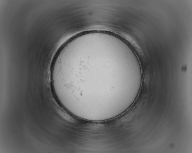 X0000101401372200807280951