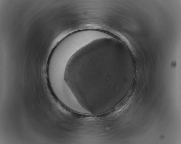 X0000101401373200807280951