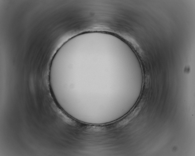 X0000101401374200807280951