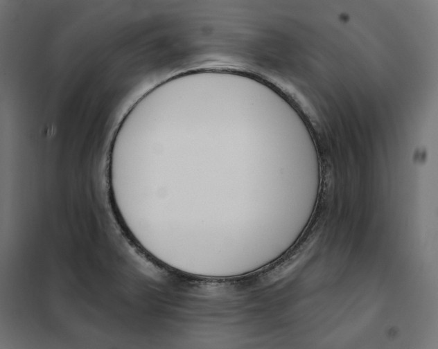 X0000101401375200807280951