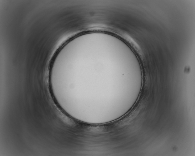 X0000101401376200807280951