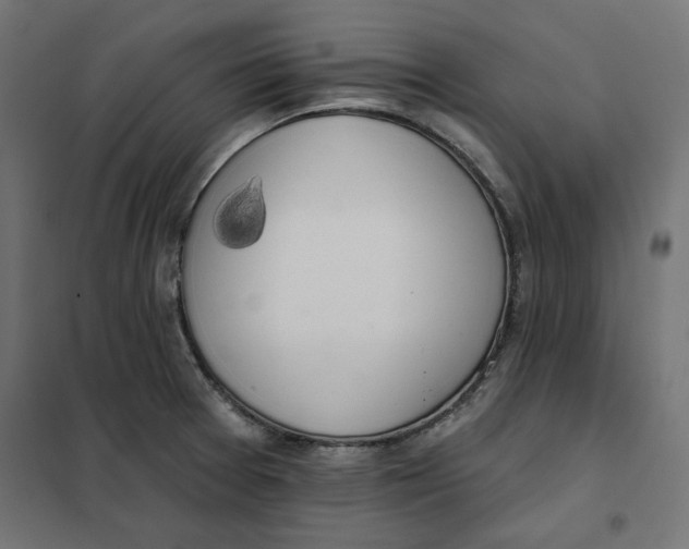 X0000101401377200807280951