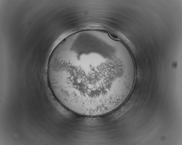 X0000101401378200807280951