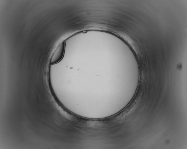 X0000101401379200807280951