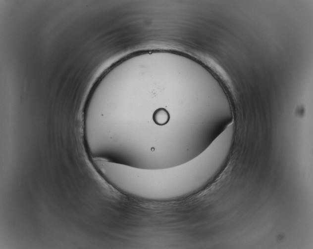 X0000101401380200807280951