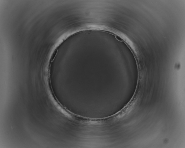 X0000101401381200807280951