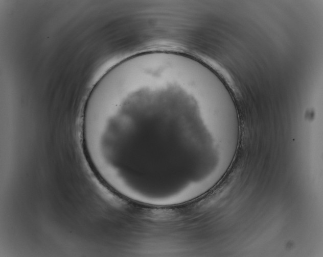 X0000101401383200807280951