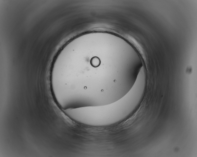 X0000101401384200807280951